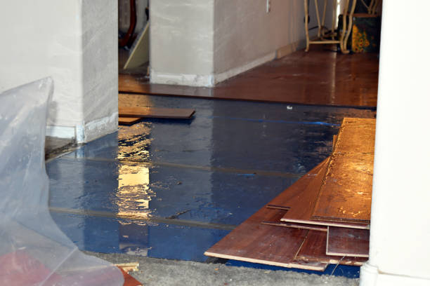 Professional Water Damage technician working in Lincoln, TX